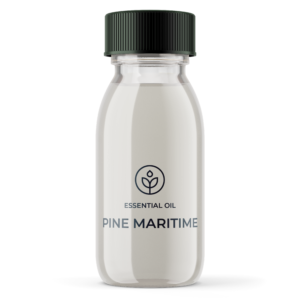 Essential oil Pine Maritime Organic (Portugal) wholesaler