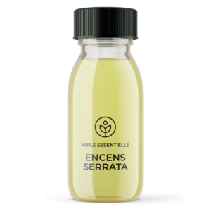 Grossiste huile essentielle Encens serrata