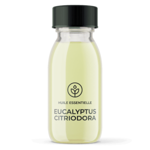Grossiste huile essentielle Eucalyptus citriodora bio