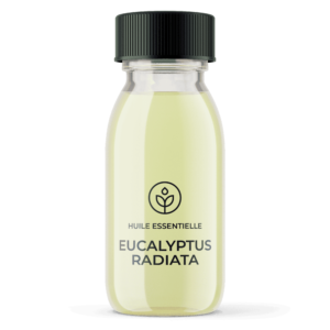 Grossiste huile essentielle Eucalyptus radiata