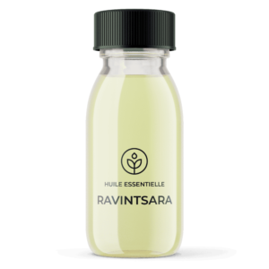 Grossiste huile essentielle Ravintsara bio