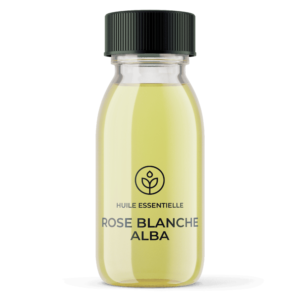 Grossiste huile essentielle Rose blanche alba bio