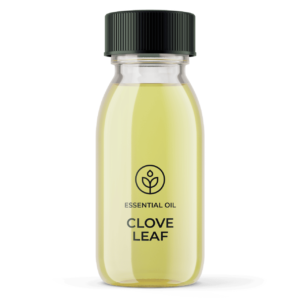 Essential oil Organic leaf cloves (Sri-Lanka) wholesaler