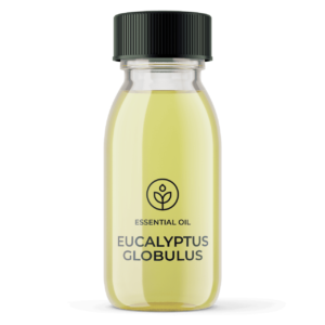 Essential oil Eucalyptus globulus 80% (China) wholesaler