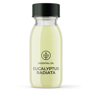 Essential oil Eucalyptus Bio Radiata (South Africa) wholesaler