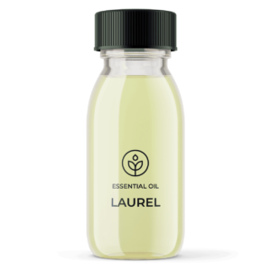 Essential oil Noble organic laurel (Turkey) wholesaler