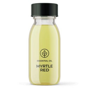 Essential oil Organic red myrtle (Morocco) wholesaler