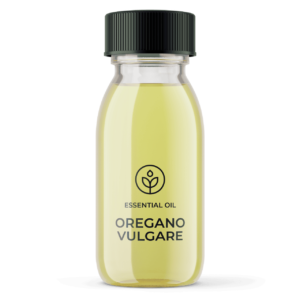 Essential oil Organic Origan Organic (France) wholesaler