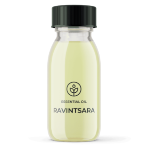 Essential oil Organic ravintsara (Madagascar) wholesaler