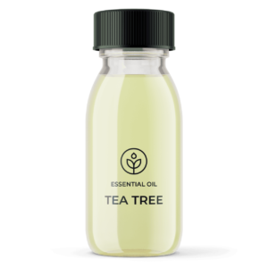 Essential oil Organic tea tree (Australia) wholesaler