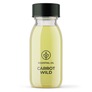 Essential oil Carrot Wild Organic (France) wholesaler