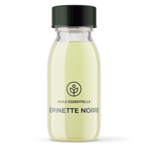 Grossiste huile essentielle Épinette Noire Bio (Canada)