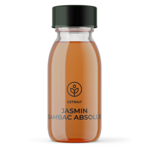Grossiste huile essentielle Jasmin Sambac Absolue (Inde)