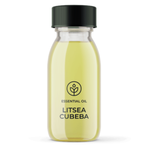 Essential oil Litsea Cubeba (Vietnam) wholesaler