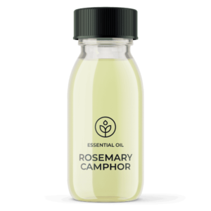 Essential oil Rosemary Camphor Organic (France) wholesaler