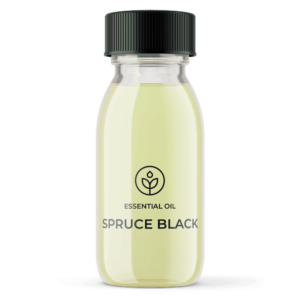 Essential oil Spruce Black (Canada) wholesaler